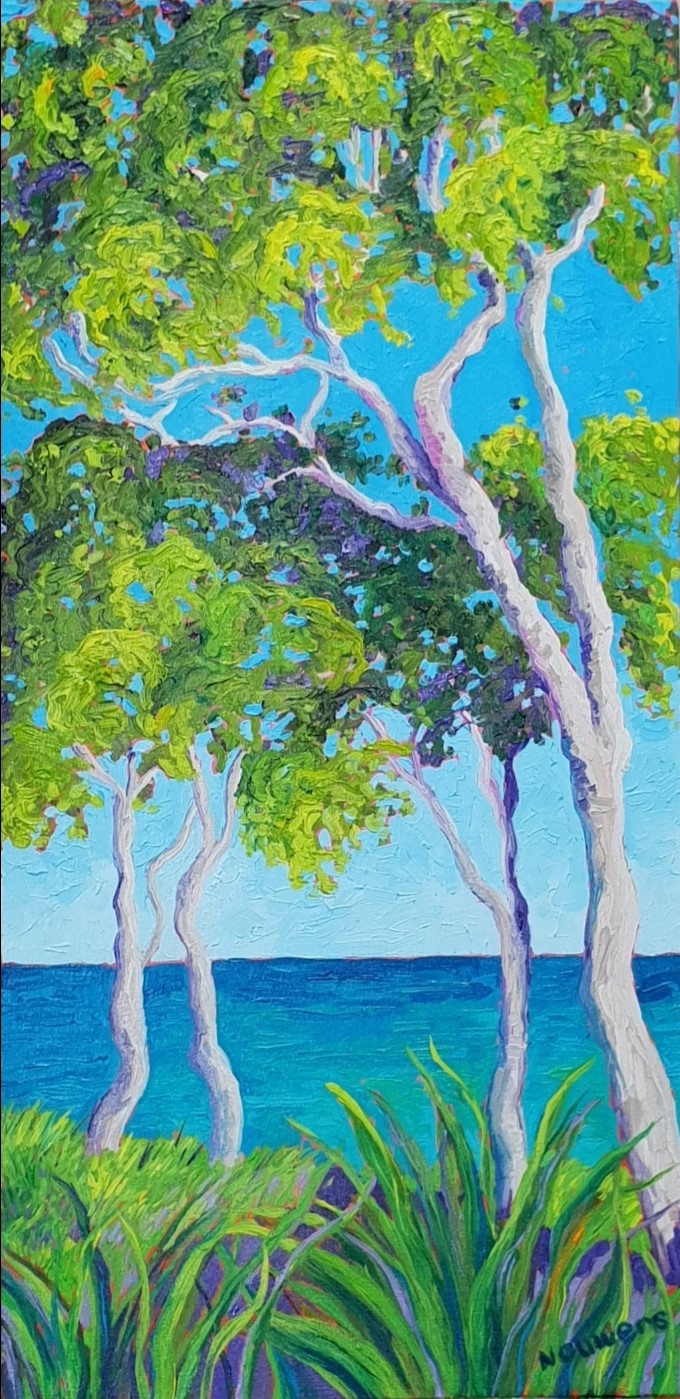 IMG_20190203_172541_371 (2)